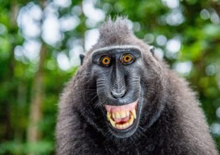 Cheeeeese! Wenn der Fotograf nicht gleich abdrückt, vergeht mir das Lachen bald wieder