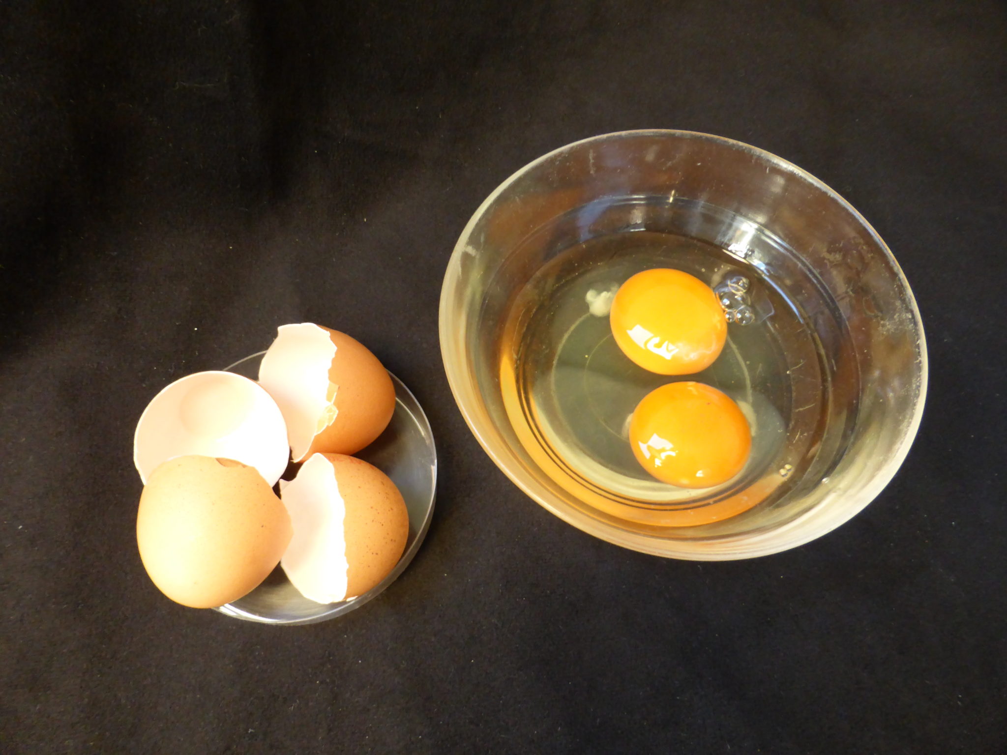 Ostern So hart sind Eier wirklich Kleine Kinderzeitung