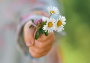 Blumen, Süßigkeiten, Gedichte: Am Muttertag wollen wir unseren Mamas eine Freude bereiten