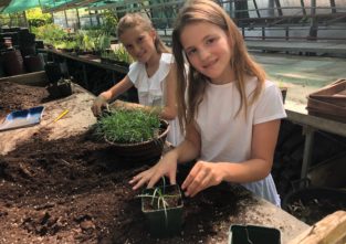 Magdalena (vorne) und Amelie beim Setzen der Stecklinge