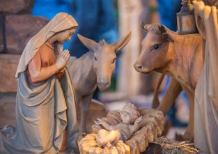 Kaum eine Weihnachtskrippe kommt ohne Ochs und Esel aus
