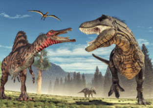 Jede kennt sie, aber was weißt du genau über die Giganten der Vergangenheit? Mach unser Dino-Quiz