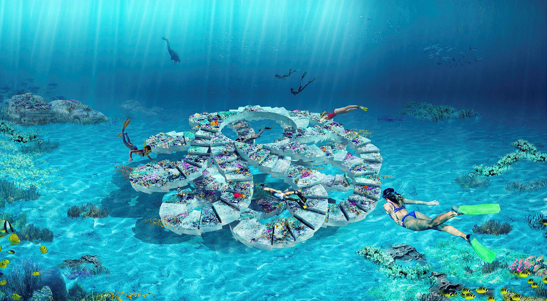 Unter Wasser: Eine neue Welt für Korallen