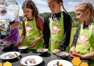 Zum Zerkugeln: Unsere Energiebomben machen sich gut als Frühstück