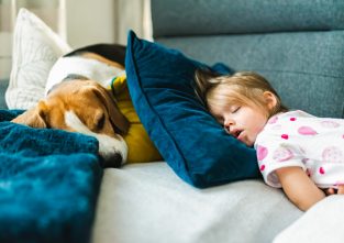 Nach einem langen Tag kann Faulenzen manchmal herrlich sein