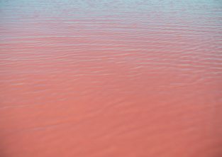 Pink ist eine eher ungewöhnliche Farbe für Gewässer