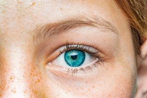 Den schwarzen Bereich in den Augen nennt man Pupille
