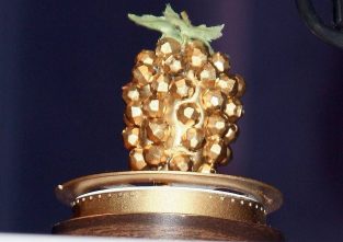 Die Goldene Himbeere: Diesen Preis möchte niemand im Regal stehen haben