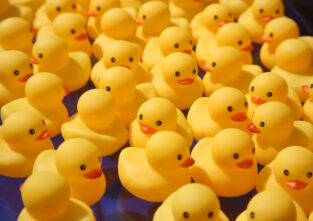 Gelbe Enten wie diese wurden im ganzen Gebäude versteckt