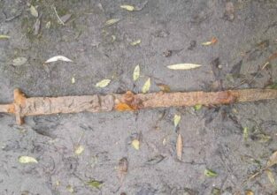 So sieht das gefundene Wikingerschwert aus