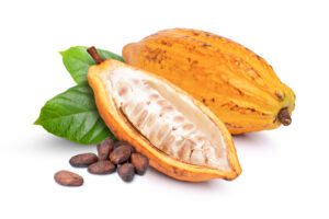 Die Kakaobohnen befinden sich im Inneren der Pflanze (Adobe Stock)