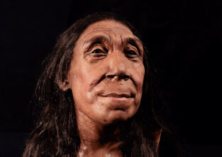 So oder so ähnlich könnte die gefundene Neandertalerin ausgesehen haben