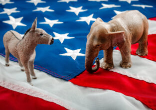 Beide Parteien haben Tiere als Maskottchen. Die Demokraten werben mit einem Esel, die Republikaner mit einem Elefanten