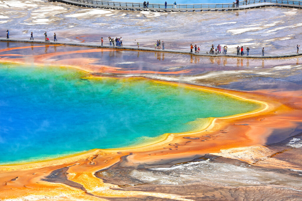 Ein See, der an ein Schwimmbecken für Regenbogen-Einhörner erinnert: Der Grand Prismatic Spring ist eine heiße Quelle. Algen und ­Bakterien färben diese ­Thermalquelle so bunt (Adobe Stock)