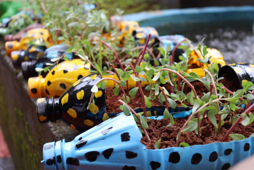 Gar nicht so unnütz: Mit deinen neuen Blumentöpfen wertest du jeden Garten auf