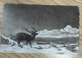 Die Vorderseite zeigt einen Hirsch. Die Rückseite der Karte hingegen ist wesentlich spannender: Der Poststempel beweist, dass die Karte vor 121 verschickt wurde