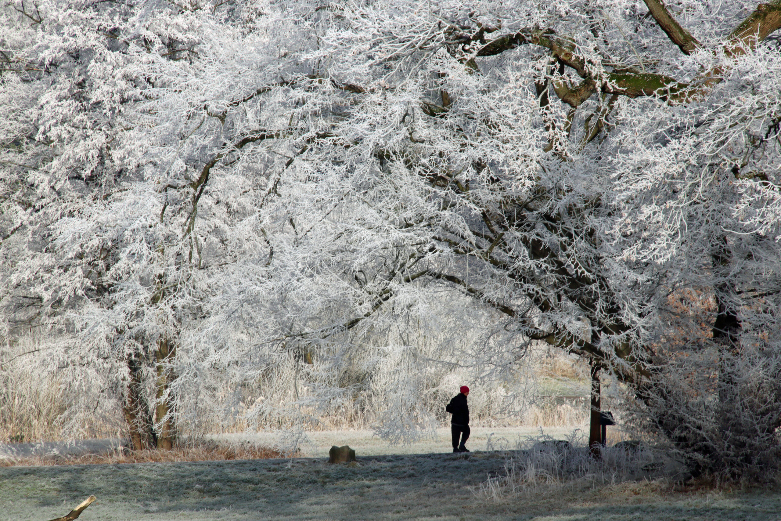 Im Winter ist es kalt draußen