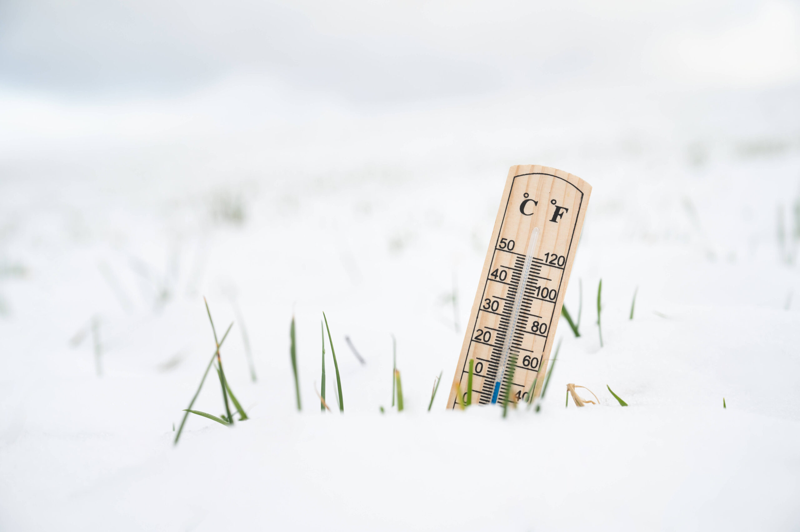 Eine weiße Winterlandschaft ist herrlich