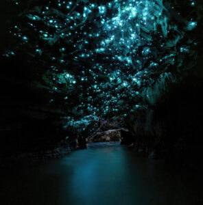 Pilzmückenlarven sorgen mit ihren klebrigen Fäden für ein Lichtspektakel in der Höhle (Imago/ Depositphotos)